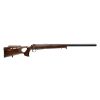 sauer-S101-Silence-GTI-arms.bg