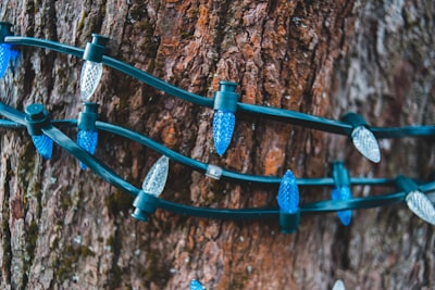 Bear Grylls Survival Bracelet
