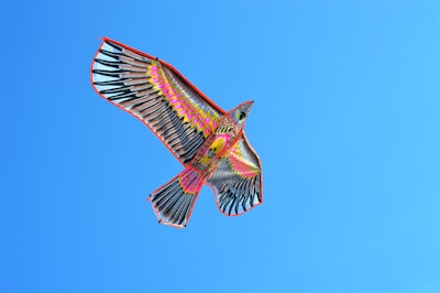 Машина за изстрелване на панички Champion Skybird Tripod Manual Feed