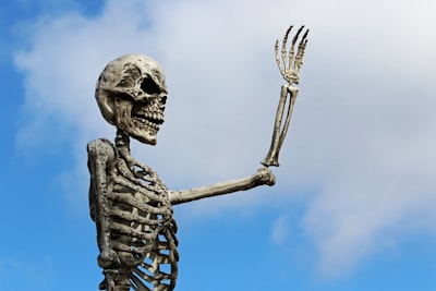 Нож тип пеперуда CS GO Bones