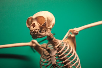 Нож тип пеперуда CS GO Bones