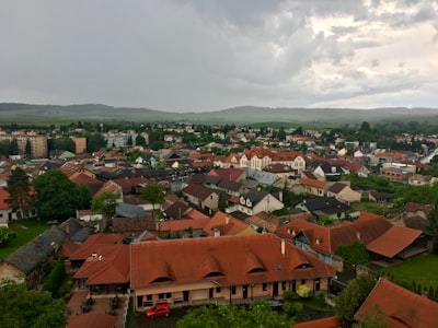 Нож ''Волк''